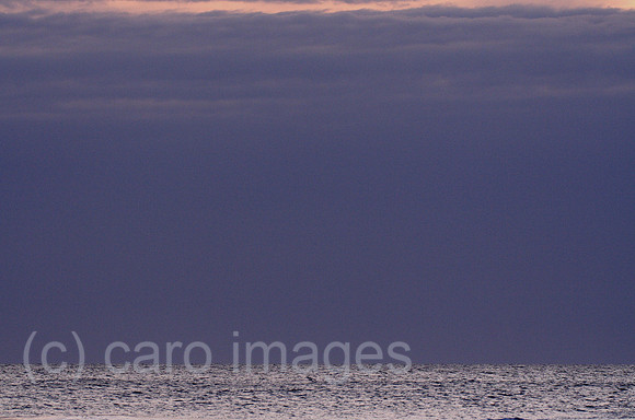 0TK061227D116CARO.JPG