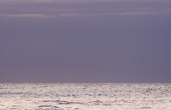 0TK061227D113CARO.JPG