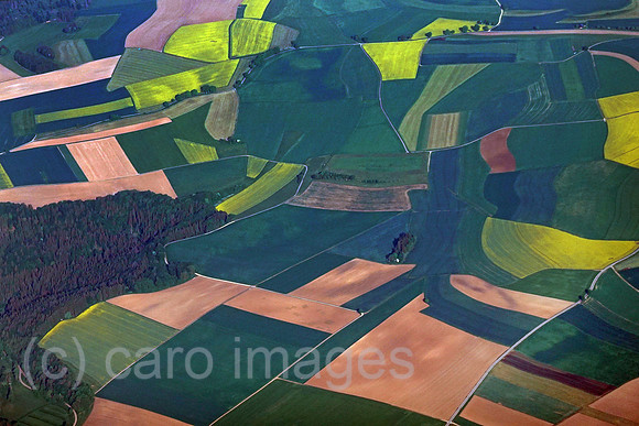 00S220519D069CARO.JPG