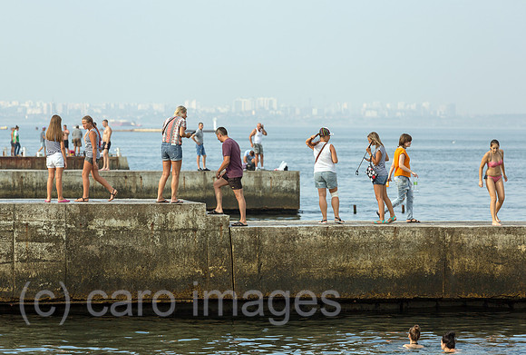 00A160823D138CAROEX.JPG