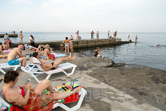 00A160823D126CAROEX.JPG