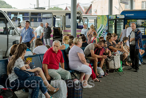 00A160823D103CAROEX.JPG