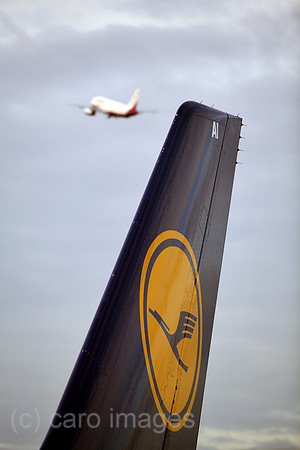 00S061204D004CARO.JPG
