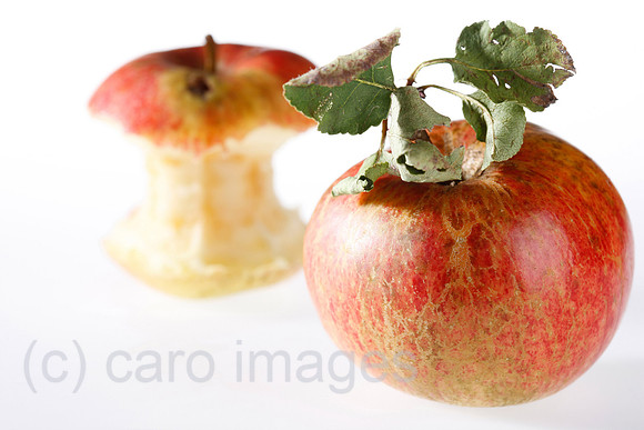 0SH101217D026CAROE.JPG