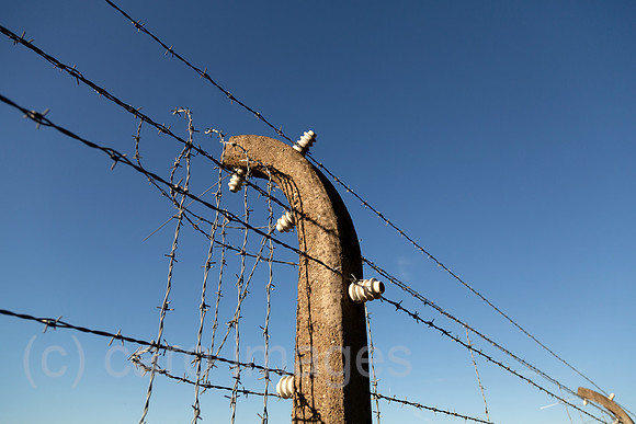Deutschland, Weimar - Gedenkstaette Buchenwald (KZ-Gedenkstaette), Stacheldrahtzaun, der frueher elektrisch geladen war