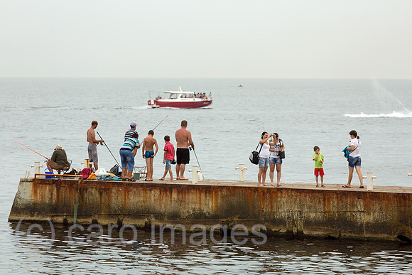 00A160823D081ACAROEX.JPG