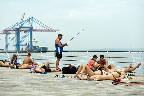 00A160823D047ACAROEX.JPG