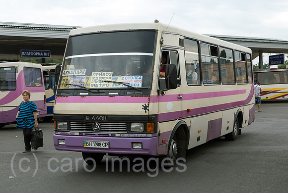 00A160823D086CAROEX.JPG