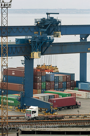00A160823D018ACAROEX.JPG