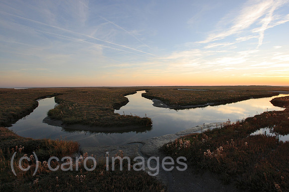 00P071014D007CAROEP.JPG