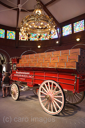 00P070727D581CAROEP.JPG