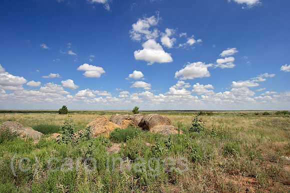 00P070731D798CAROEP.JPG