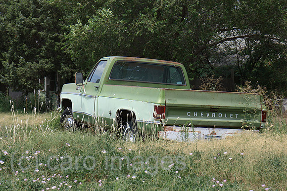 00P070730D714CAROEP.JPG