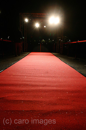 00P071126D003CAROEP.JPG