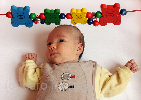 0AT101111D046CAROE.JPG