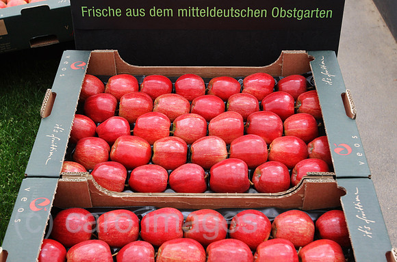 0AT091015D023CAROE.JPG