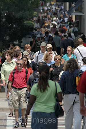 00P070725D491CAROEP.JPG