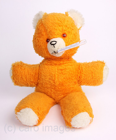 0AT090406D008CAROE.JPG