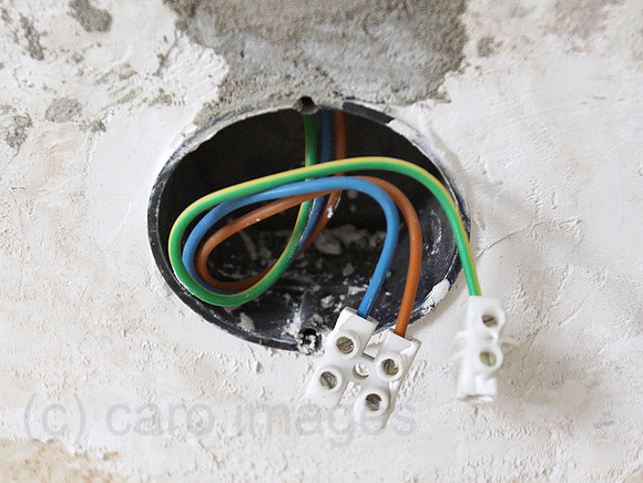 0AT100117D013CAROE.JPG