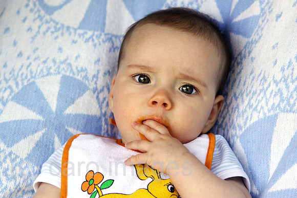 0AT110506D017CAROE.JPG