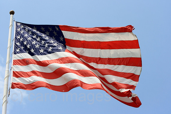 00P070728D604CAROEP.JPG