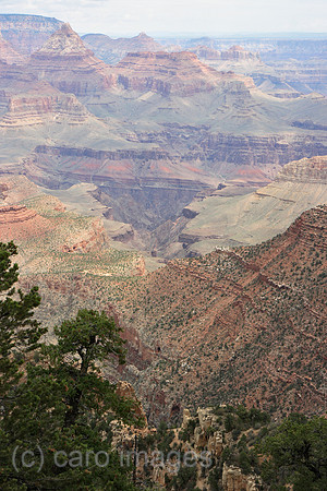 00P070803D922CAROEP.JPG