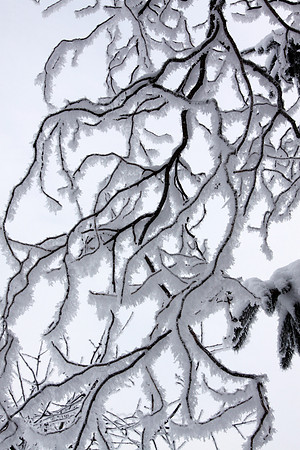 0AT101220D010CAROE.JPG