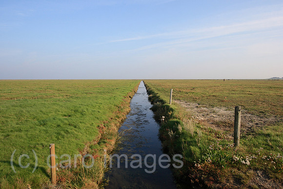 00P071015D049CAROEP.JPG