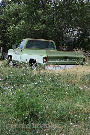 00P070730D715CAROEP.JPG