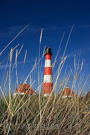 00P071015D035CAROEP.JPG