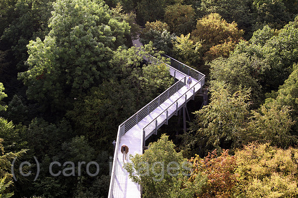 0AT110923D004CAROE.JPG