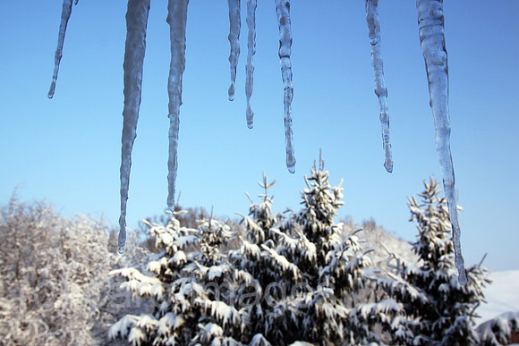 0AT101220D003CAROE.JPG