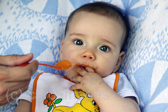 0AT110506D016CAROE.JPG