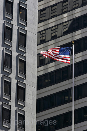 00P070820D500CAROE.JPG