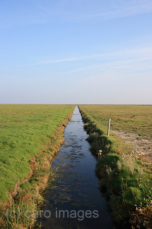 00P071015D050CAROEP.JPG
