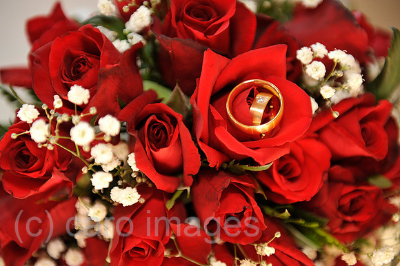 0AT111207D072CAROE.JPG