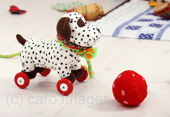 0AT120202D004CAROE.JPG