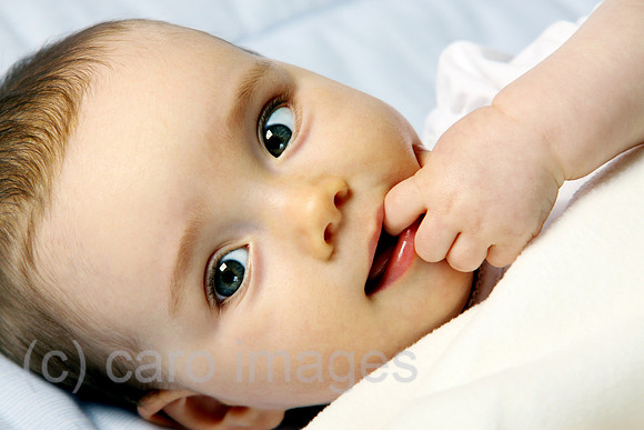 0AT110612D015CAROE.JPG