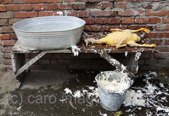 0AT100917D016CAROE.JPG