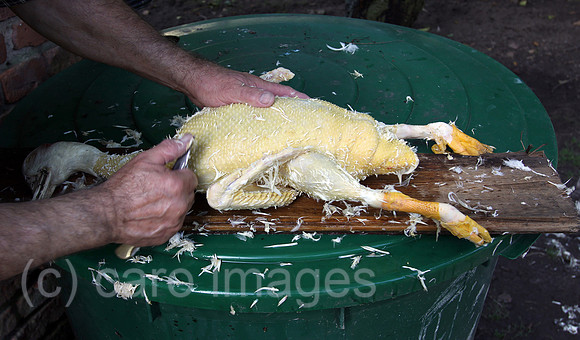 0AT100917D023CAROE.JPG