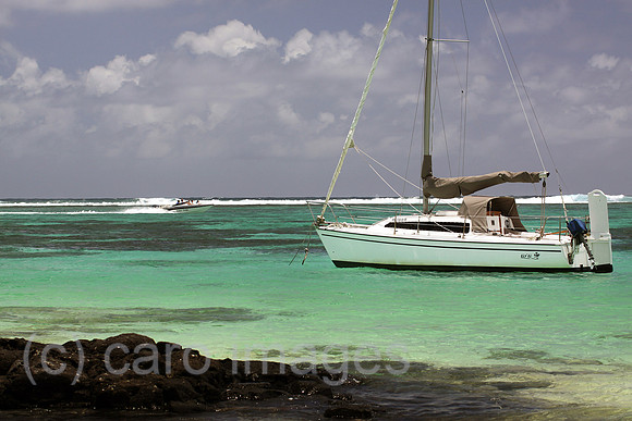 0AT111207D025CAROE.JPG