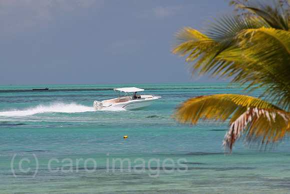 0AT111207D040CAROE.JPG