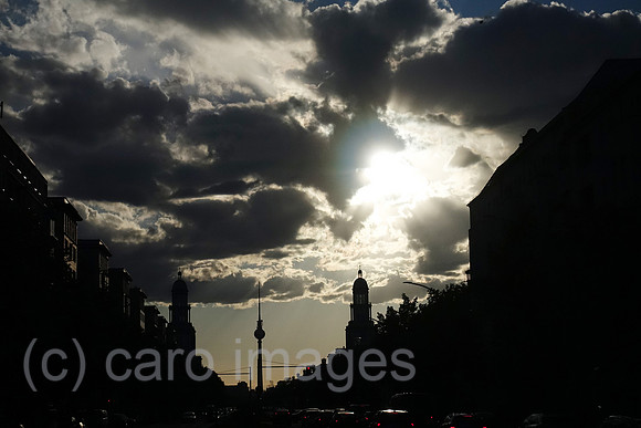 00S190513D317CAROEX.JPG