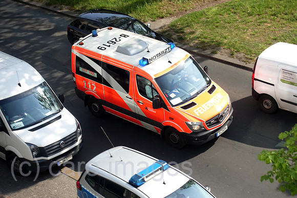 00S190508D305CAROEX.JPG