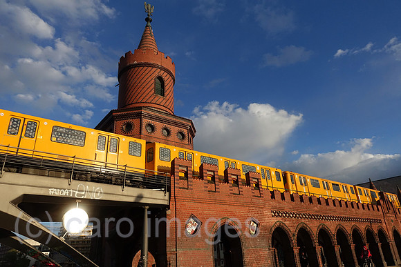 00S190513D328CAROEX.JPG