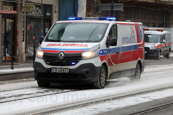 00S190125D088CAROEX.JPG
