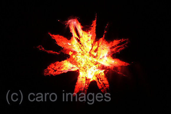 00S190420D034CAROEX.JPG