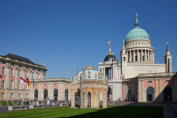 00R200922D014CAROEX.JPG