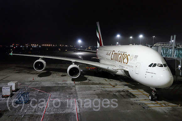 00S190324D148CAROEX.JPG