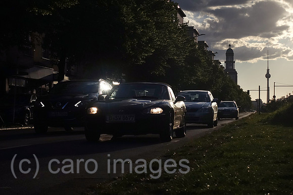 00S190513D322CAROEX.JPG